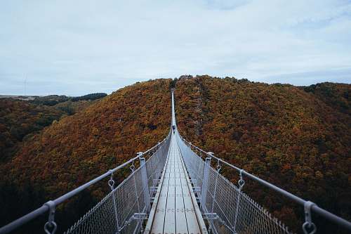 bridge person walking on white hanging bridge during daytime desktop wallpapers